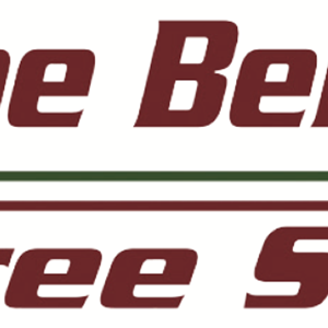 Photo of Joe Benigno's Tree Service